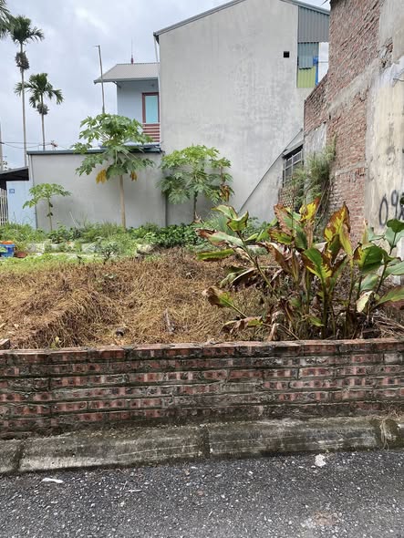 Đất nền Đông Dư, Gia Lâm 40m² chỉ 2.95 tỷ - Sổ đỏ chính chủ, vị trí đắc địa!