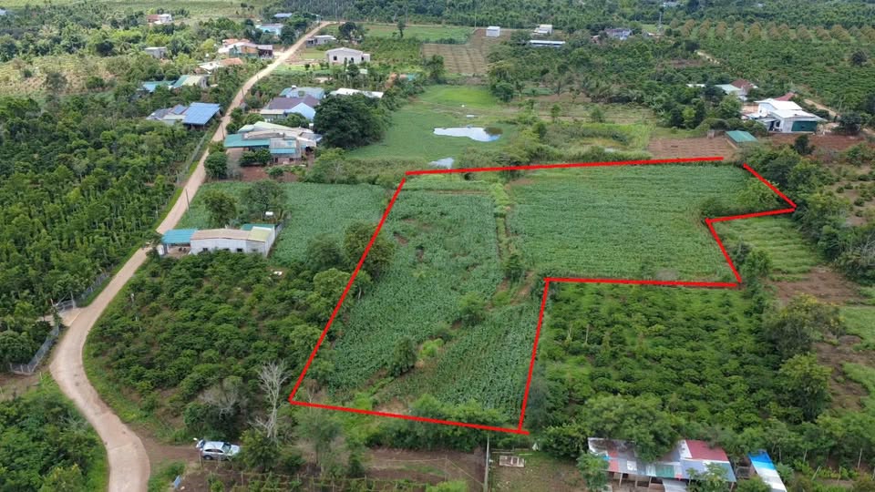 Đất nền Phú Xuân 2.16ha giá chỉ 550 triệu - Cơ hội đầu tư hấp dẫn!