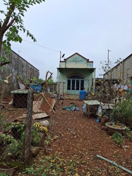 Nhà cấp 4 mặt tiền đường nhựa Ấp 7 Sông Trầu 332m² giá 970 triệu - Cơ hội đầu tư hiếm có!