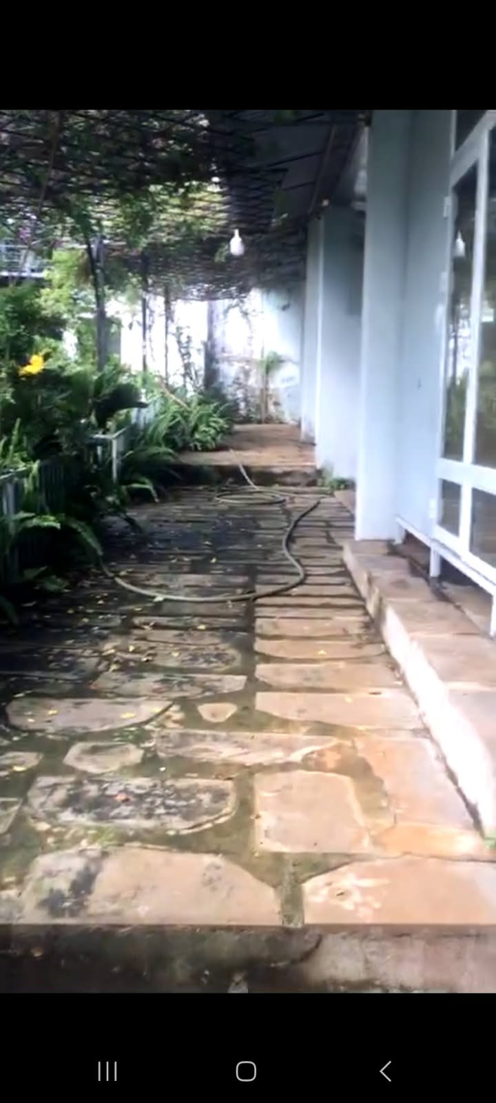 Lô đất 1500m² xã Ia Grai giá chỉ 1.85 tỷ - Cơ hội đầu tư sinh lời!