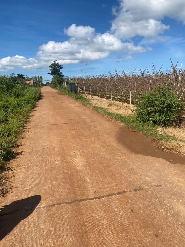 Đất nền An Phú, Pleiku 1800m² giá 1.1 tỷ - Đường bê tông rộng 8m