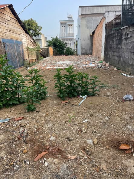 Đất nền Tân Hoà, Buôn Ma Thuột 95m² giá 1.59 tỷ - Đường bê tông ô tô né nhau thoải mái!