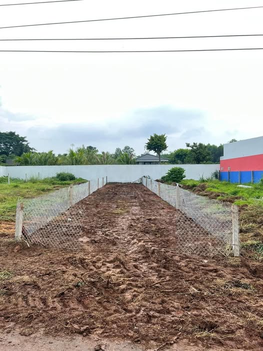 Đất nền thổ cư mặt tiền đường Nam Kỳ Khởi Nghĩa, Đất Đỏ 150m² giá 1.5 tỷ - Cơ hội đầu tư hấp dẫn!