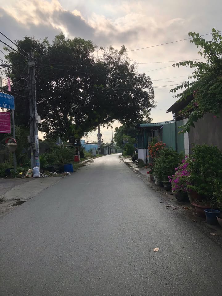 Nhà phố An Phước Long Thành 190m² giá 4 tỷ - Sổ hồng chính chủ, vị trí đẹp!