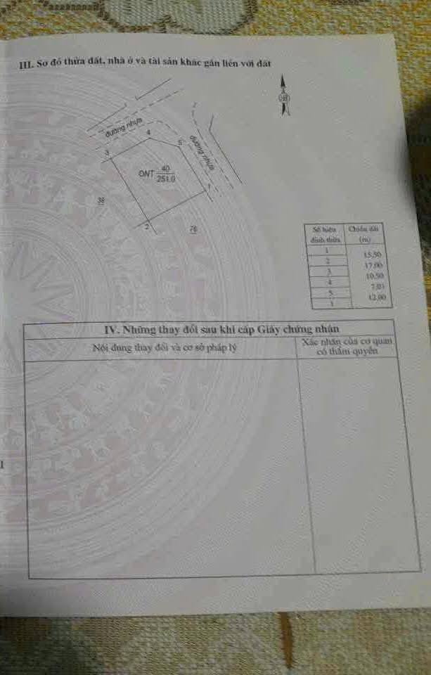 Đất nền biệt thự góc 251m² tại Soi Đông Dương, Quảng Ngãi - Đầu tư sinh lời nhanh!
