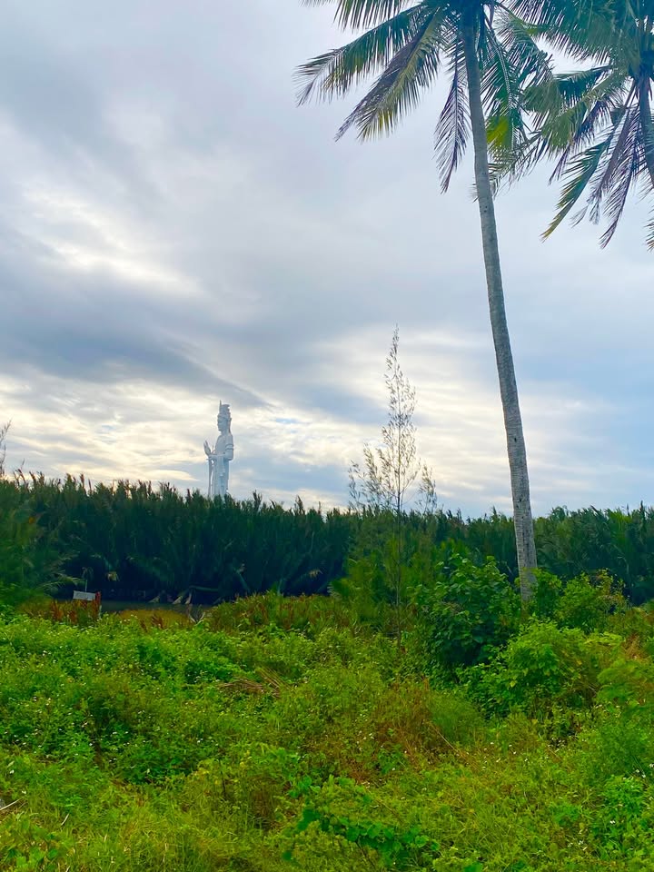 Mặt tiền kinh doanh Tịnh Khê 137m² giá 1.3 tỷ - Chủ tặng nhà cấp 4!