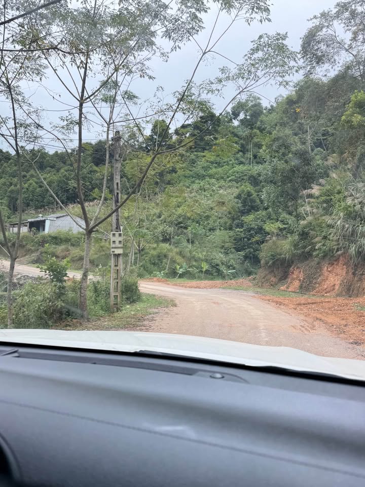 Đất trồng mỡ 2.6ha tại Thôn Chợ Chùa, Na Rì, Bắc Kạn - Tiềm năng kinh tế lớn!