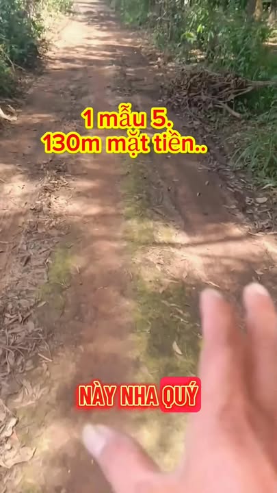 Đất nền Suối Nho, Định Quán 5400m² giá 350 triệu - Đầu tư sinh lời ngay!