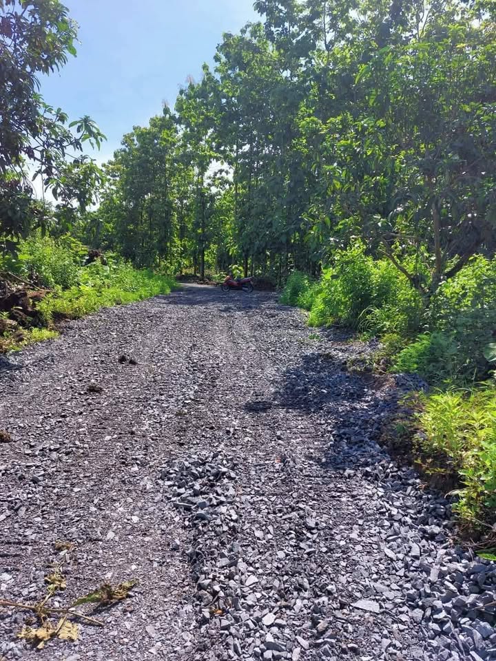 Đất nền 1,9 sào xã Ngọc Định, Định Quán, Đồng Nai giá 800 triệu - Cơ hội đầu tư hấp dẫn!