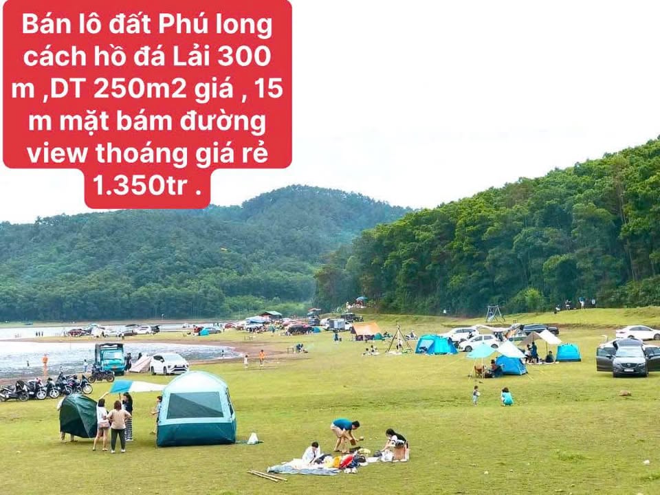 Lô đất xã Phú Long, Ninh Bình 250m² giá 1.35 tỷ - Cơ hội vàng đầu tư!