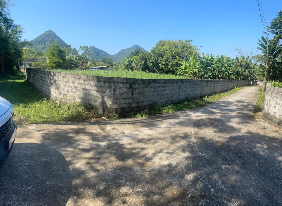 Đất nền Kỳ Phú Ninh Bình 200m² giá chỉ 2 tỷ - Đầu tư sinh lời hấp dẫn!