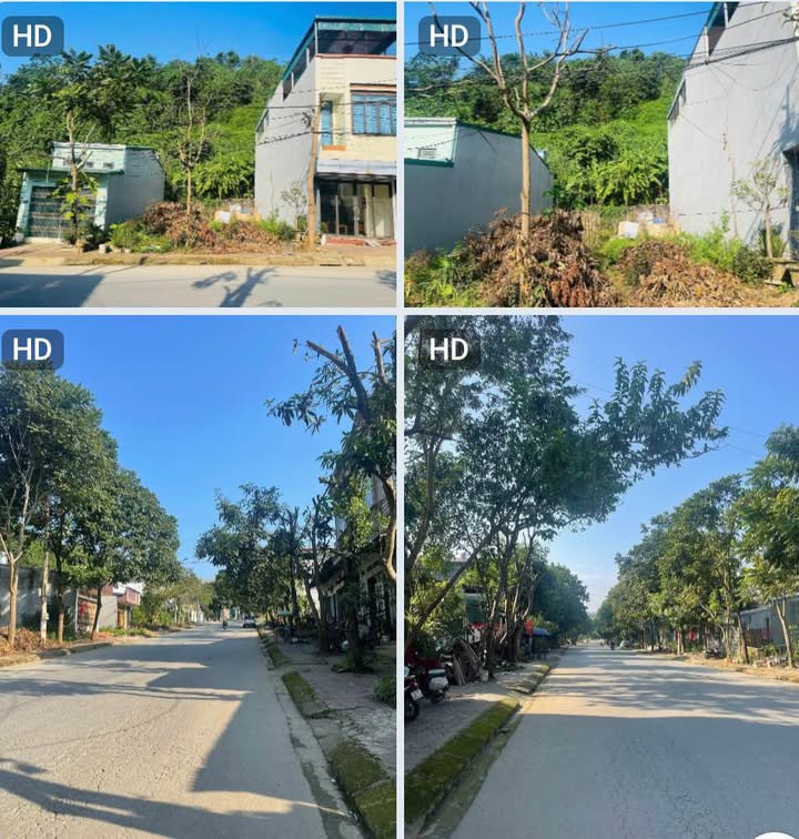 Đất mặt đường 156, phường Duyên Hải, Lào Cai 200m² - Giá tốt, cơ hội đầu tư hiếm có!