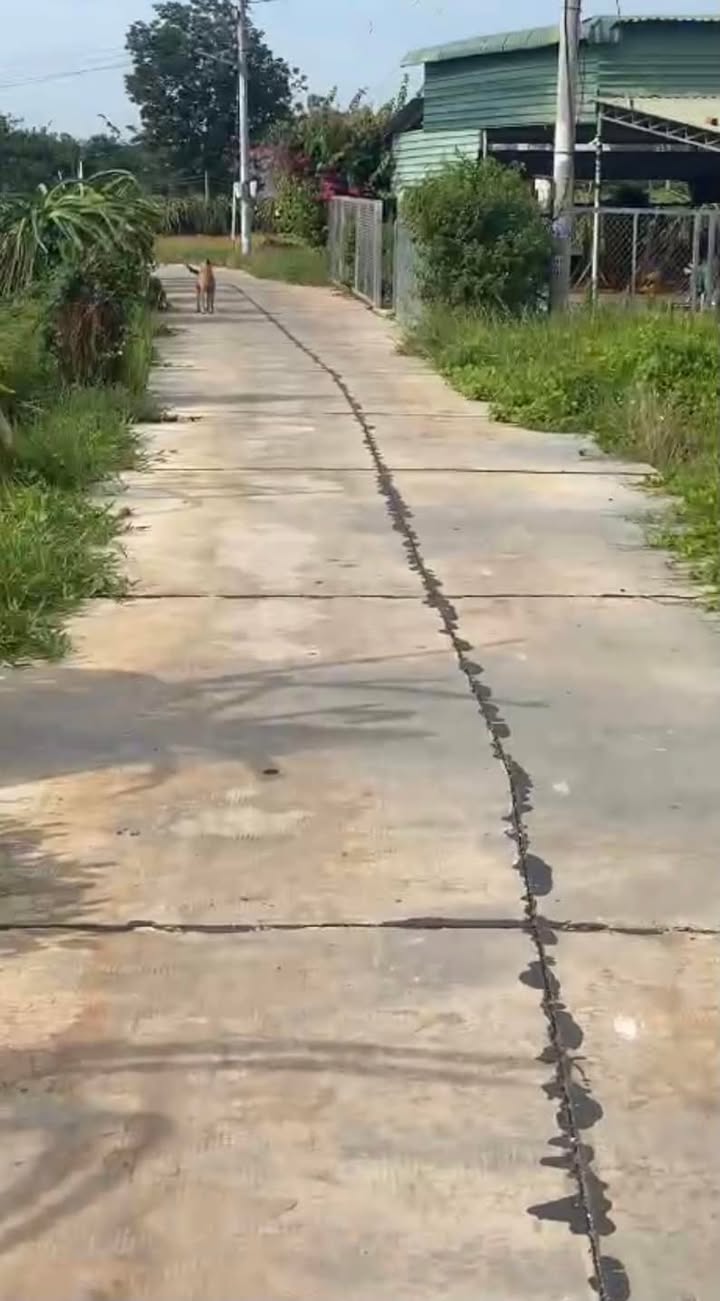 Đất thổ cư 165m² tại Thôn Phú Thọ, xã Hàm Cường - Giá chỉ 3 tỷ VND