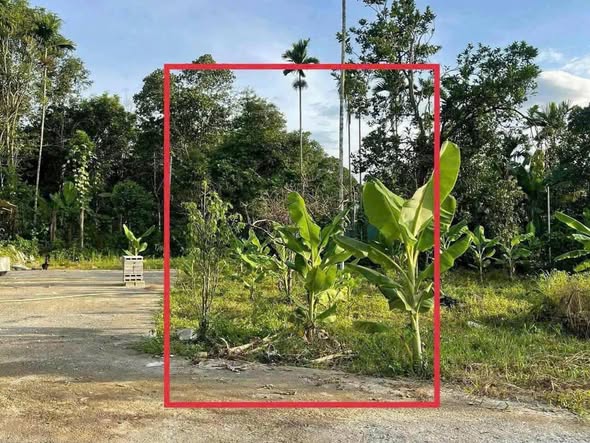 Đất nền lô góc Xuân Phú, xã Hòa Sơn, 122.6m² giá 1.25 tỷ - Sổ đỏ chính chủ!