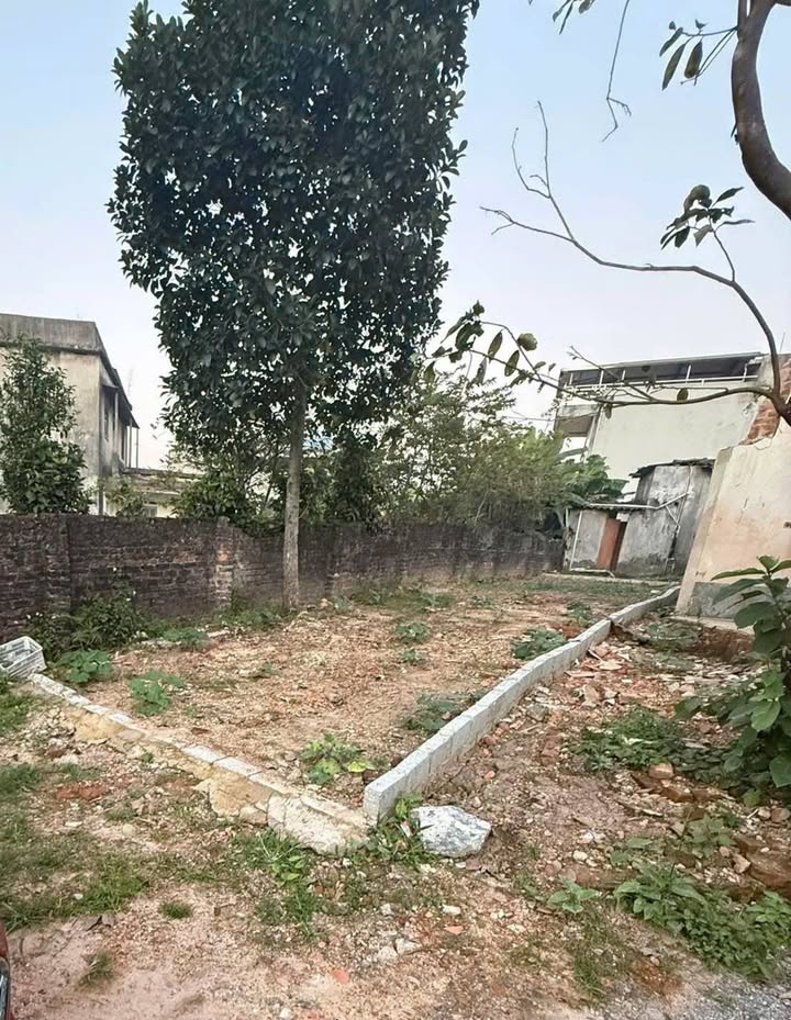 Đất nền phường Tân Lập Thái Nguyên 75m² giá 1 tỷ - Đường ô tô vào tận nơi!