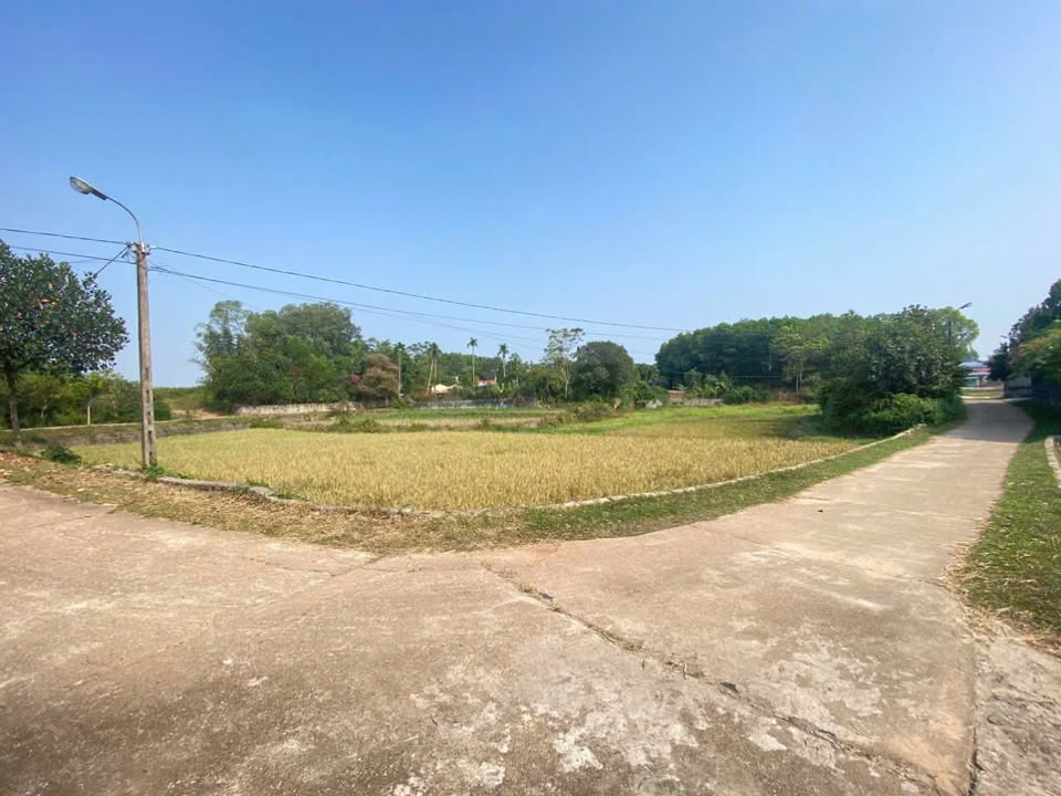 Đất nền 2 mặt tiền tại Tân Thành, Thái Nguyên 442m² - Đầu tư sinh lời tiềm năng!