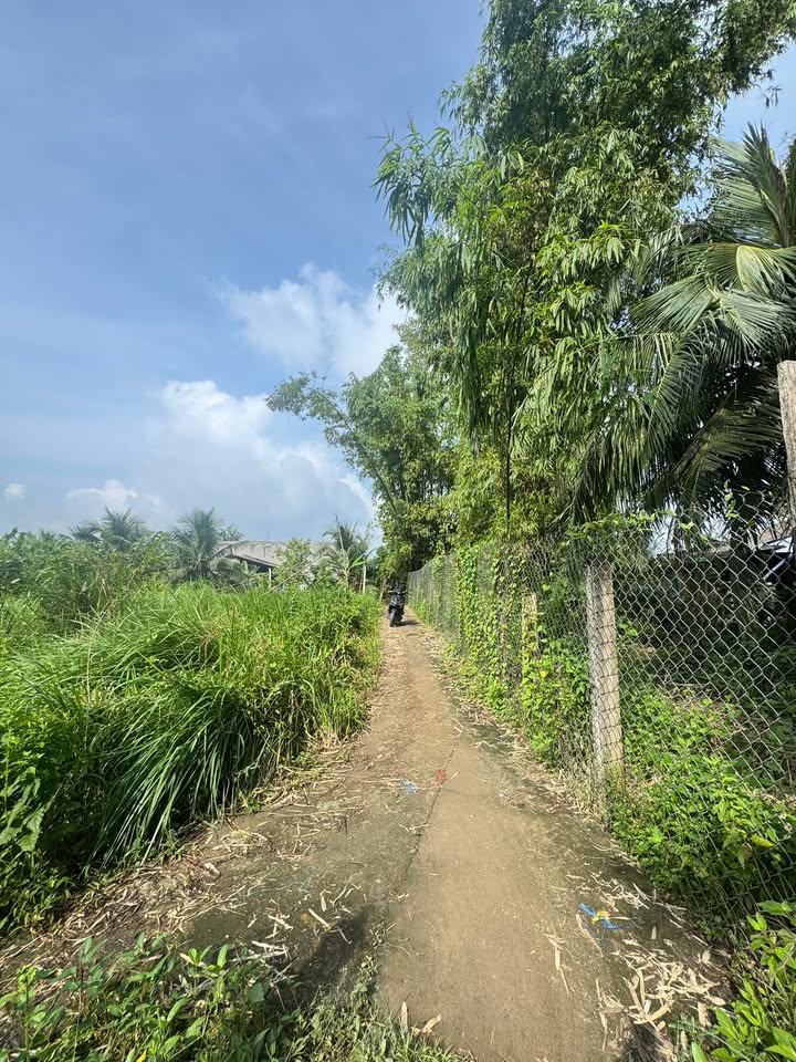 Đất thổ cư Mỹ Lương, Mỹ Phong 161m² giá chỉ 430 triệu - Cơ hội đầu tư tuyệt vời!