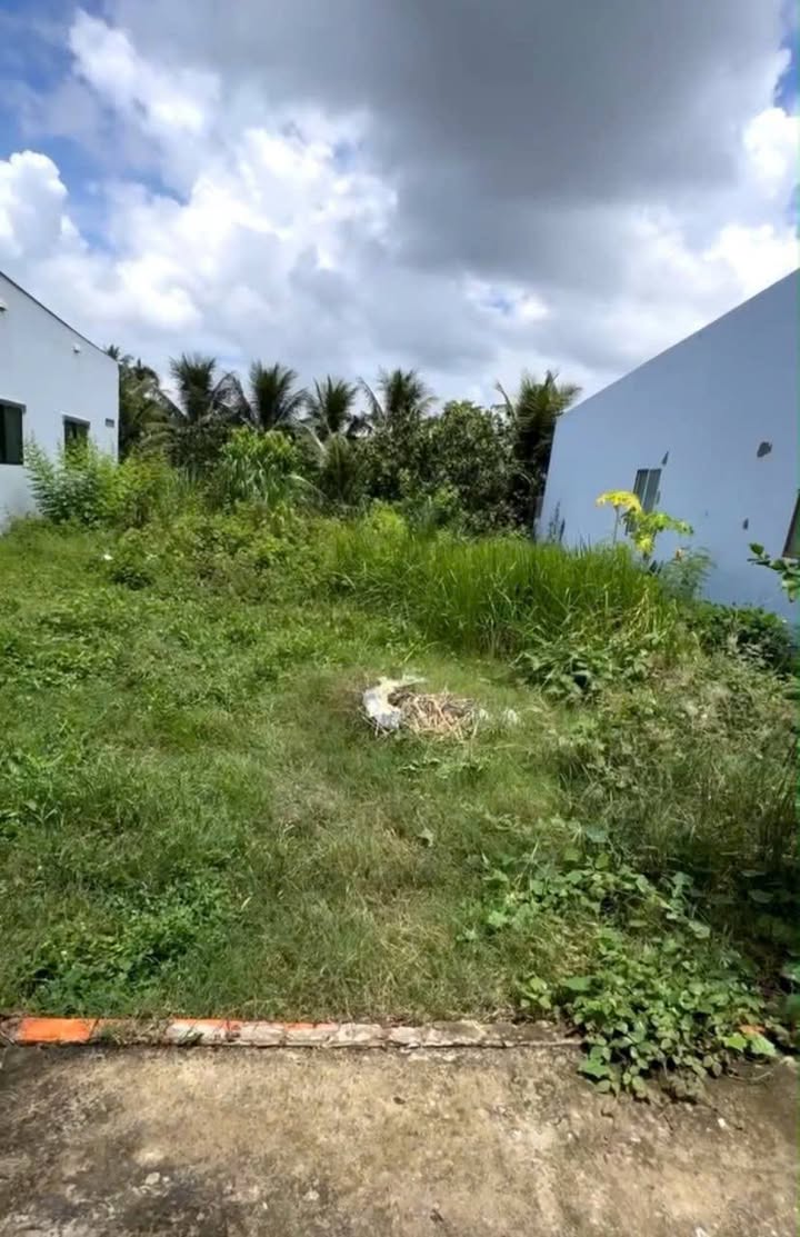 Đất thổ cư khu phố Mỹ Hòa, Mỹ Phong 97m² giá 500 triệu - Đầu tư sinh lời ngay!