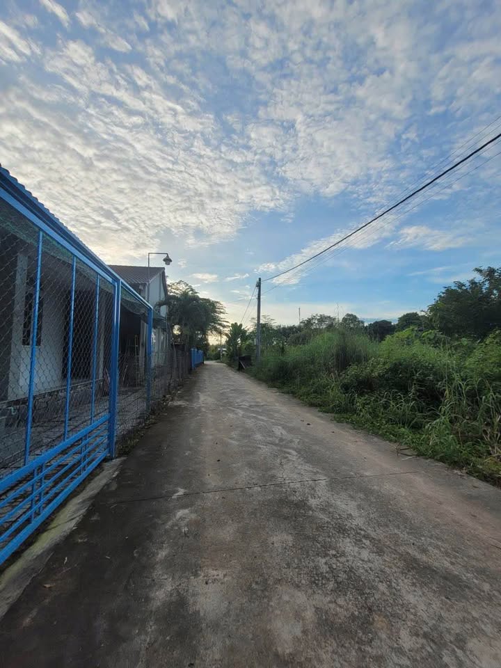 Đất nền mặt tiền Lai Uyên, Bàu Bàng 195m² giá 700 triệu - Cơ hội đầu tư hấp dẫn!