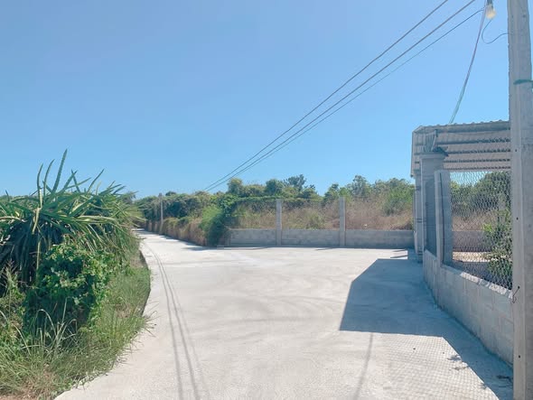 Đất cây trồng 7200m² Hàm Thắng giá chỉ 720 triệu - Sẵn sàng sang tên ngay!