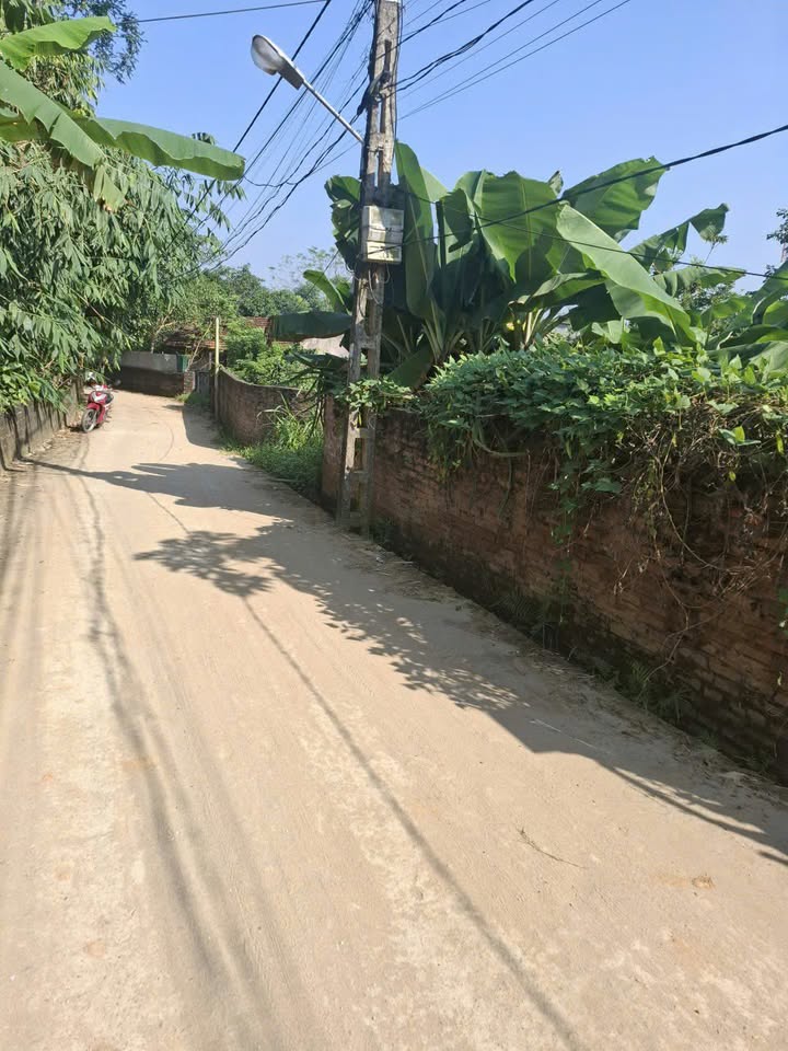 Đất nền khu 5 Kim Đức, Vân Phú 205m² giá 1 tỷ - Tiềm năng tăng giá lớn!