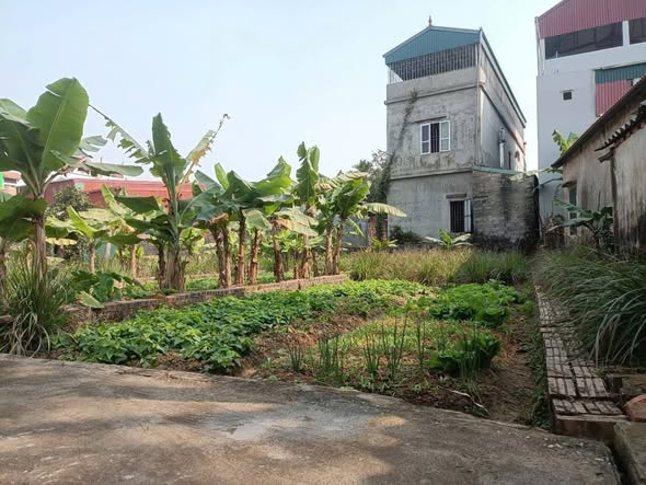 Bán đất thổ cư Hòa Phong, Mỹ Hào 78m² giá 1.6 tỷ - Sổ đỏ chính chủ!