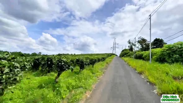 Đất hẻm Triệu Quang Phục, B'Lao 1014m² giá 4.5 tỷ - Cơ hội đầu tư hấp dẫn!