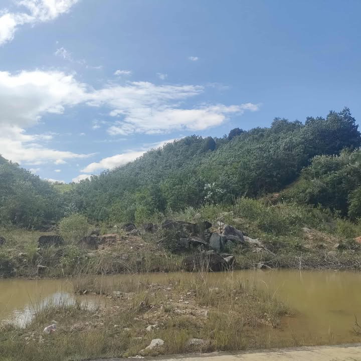 Đất nền Đạ Tông, Đam Rông 20.000m² giá 400 triệu - Cơ hội đầu tư tuyệt vời!