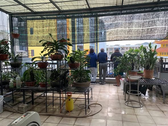 Bán gấp nhà mặt tiền đường Hoàng Văn Thụ, Nha Trang, 140.5m² chỉ 22 tỷ - Đầu tư sinh lời ngay!