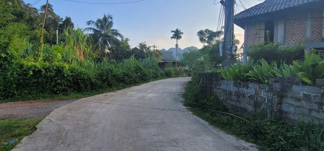 Đất nền Nhân Mỹ Tân Lạc 400m² giá chỉ 200 triệu - View cánh đồng tuyệt đẹp!