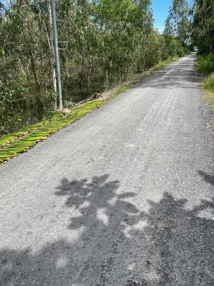 Đất chính chủ tại Tuyên Bình Tây, Vĩnh Hưng 1000m² giá 180 triệu - Cơ hội đầu tư hấp dẫn!