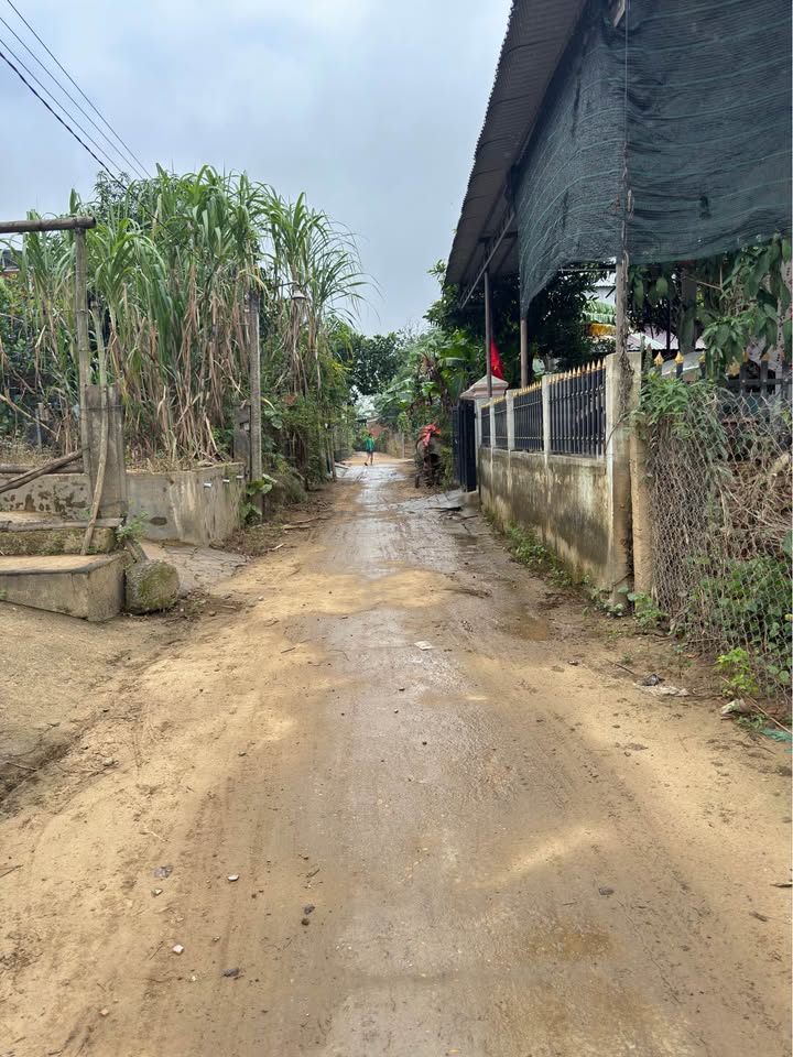 Đất nền Điện Phong, Điện Bàn 100m² giá 400 triệu - Sổ hồng chính chủ!