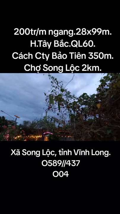 Đất nền mặt tiền QL60, xã Song Lộc, 2950m² giá 200 triệu - Đầu tư sinh lời lý tưởng!