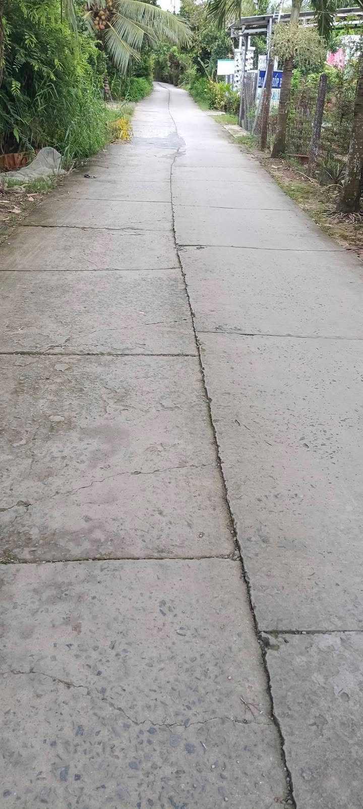 Đất nền 480m² xã Hậu Mỹ Bắc A - Giá chỉ 650 triệu, sổ đỏ chính chủ!