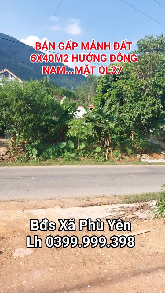 Đất nền Phù Yên 240m² mặt Quốc lộ 37 - Cơ hội đầu tư sinh lời!