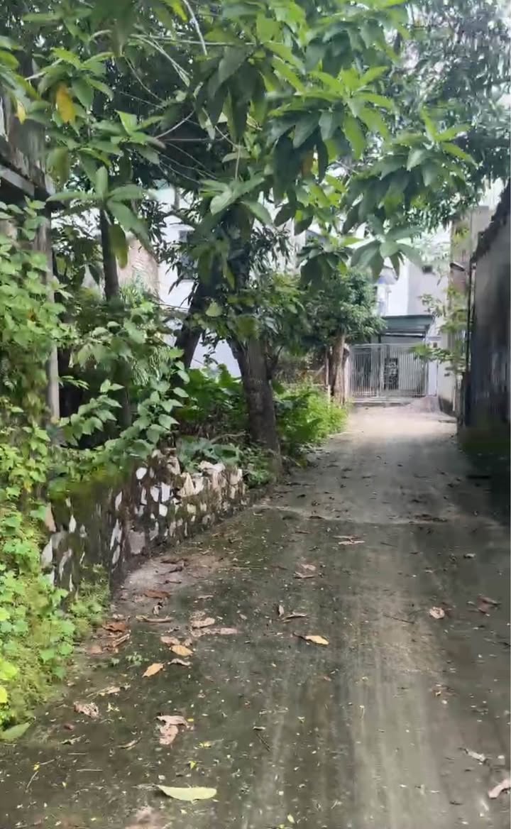 Đất nền 71m² mặt tiền 4.8m đường Nam Sơn - Giá chỉ 1 tỷ!