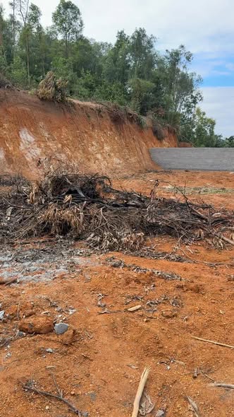 Đất thổ cư Châu Phong 500m² giá chỉ 7 triệu/m² - Cơ hội đầu tư tuyệt vời!