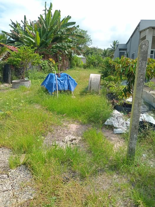 Đất nền Bình Minh Tây Ninh 210m² giá 530 triệu - Cơ hội đầu tư tốt!