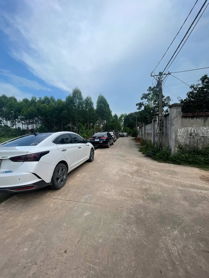 Đất nền Ngọc Châu, Tân Yên 179m² chỉ 600 triệu - Đường thông ô tô tránh nhau!