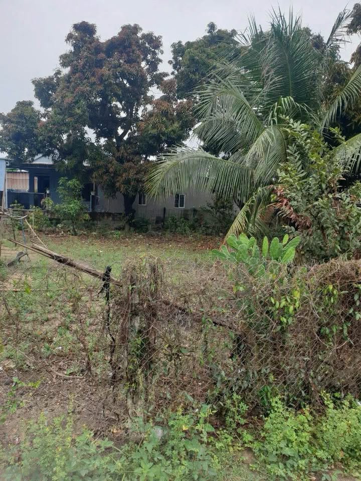 Đất nền Diên Toàn, Diên Khánh 111m² - Đường ô tô tận nơi, đầy đủ tiện ích!