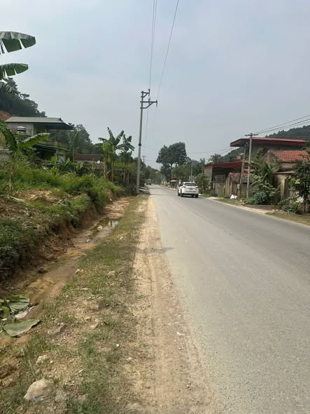 Đất nền mặt đường Quốc lộ 217, xã Tống Sơn, 175m² chỉ 1 tỷ - Cơ hội đầu tư tốt!