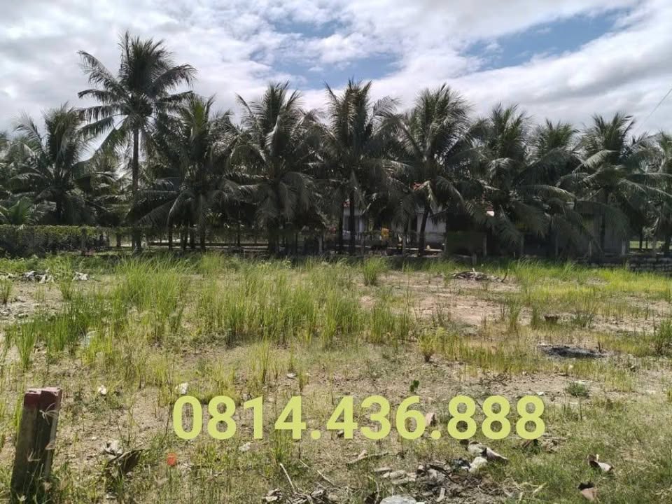 Đất thổ cư Ninh Hòa 220m² giá 650 triệu - Sổ đỏ chính chủ, đầu tư sinh lời!