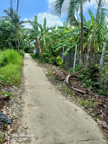 Đất nền mặt tiền đường Đan 604m² giá 700 triệu - Pháp lý rõ ràng, sang tên nhanh chóng!