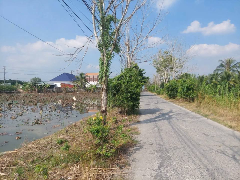 Đất nền 720m² xã Thạnh Hoà, Hậu Giang - Giá chỉ từ 125 triệu/mét ngang!