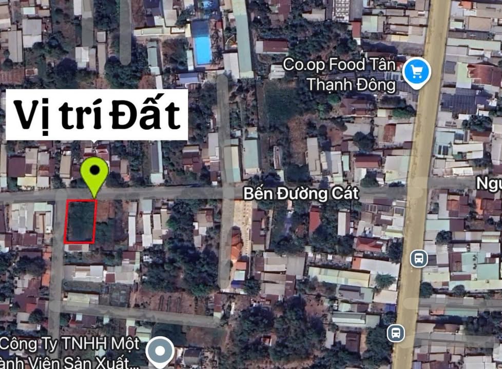 Đất nền Tân Thạnh Đông 544m² giá 5.4 tỷ - Cơ hội đầu tư tuyệt vời!