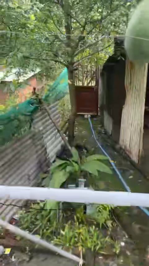 Nhà phố Đồng Xoài 235m² giá chỉ 800 triệu - Cơ hội vàng cho tài chính thấp!