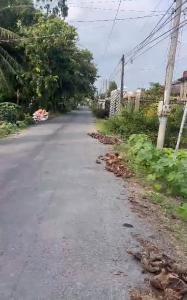 Đất thổ cư 1143m² tại Ấp Thới Hòa, Xã Long Bình, Tiền Giang - Giá chỉ 1.32 tỷ, thương lượng ngay!