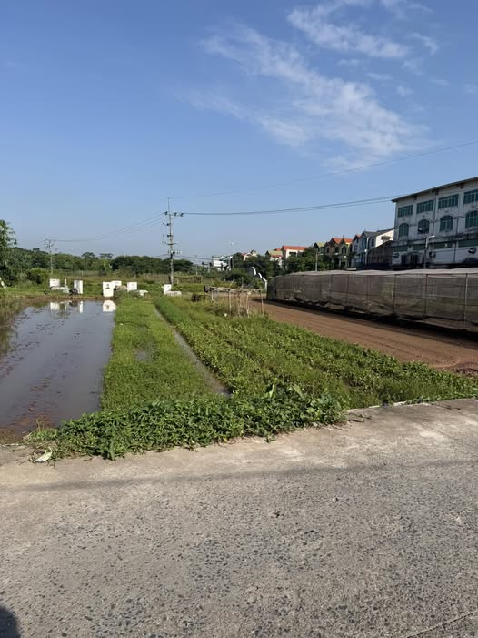 Đất nền chính chủ ở Thuận An 89.5m² giá chỉ 6 tỷ - Cơ hội đầu tư hấp dẫn!