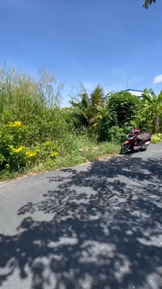 Đất nền mặt tiền lộ nhựa Đông Thái 522m² giá 870 triệu - Cơ hội đầu tư hấp dẫn!