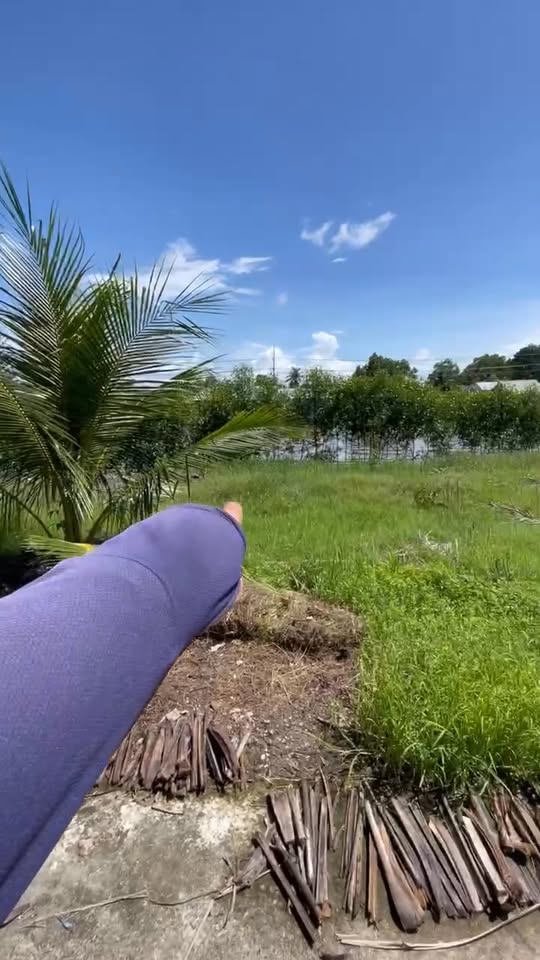 Đất nền mặt tiền sông tại Đông Hòa An Minh 500m² giá chỉ 500 triệu - Cơ hội đầu tư tuyệt vời!